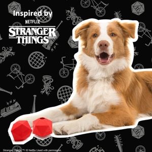 Chew King Netflix Stranger Things Dice Dog Toy, 2pk - Medium